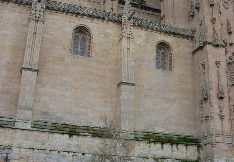 20160425_humedades-09