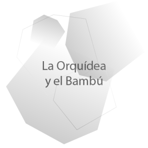 http://radio.usal.es/wp-content/uploads/2015/02/radioUSAL-orquidia-bambu-300x300.png