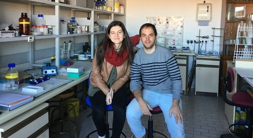 Premios_Jovenes_Investigadores_ORIG